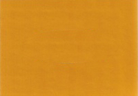 2004 Hondao Solar Yellow Effect
